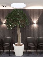 PUK WALL<br />da parete a 2 led di  4w<br />completa di lenti e7o vetro
