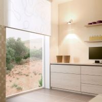PUK WING SINGLE<br />da parete/soffitto con braccio 40 cm<br />Led 2x 8w<br />Testata e braccio girevole<br />Completa di lenti e vetri