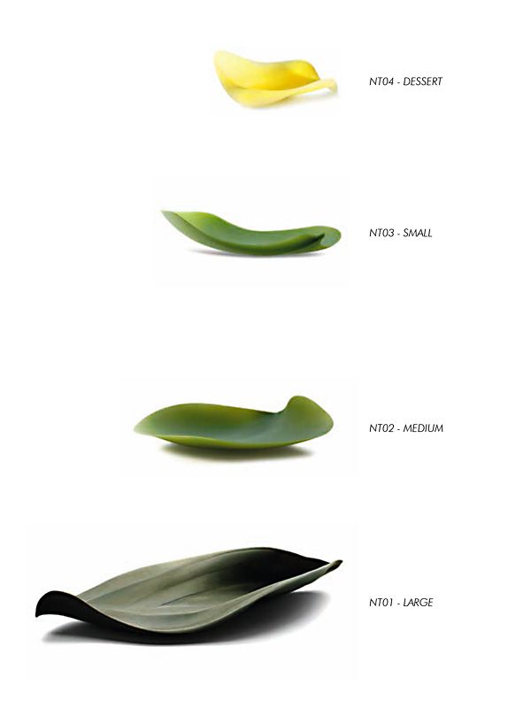 Seasons piatto fondo NT-03