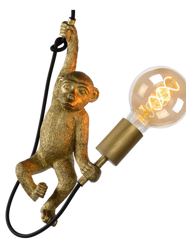 Sospensione CHIMP